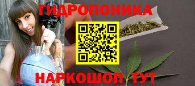прущие крисы Нальчик