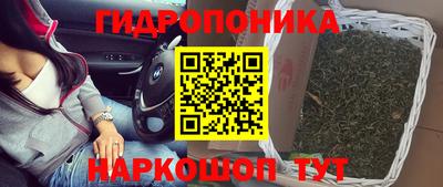 прущие крисы Нальчик