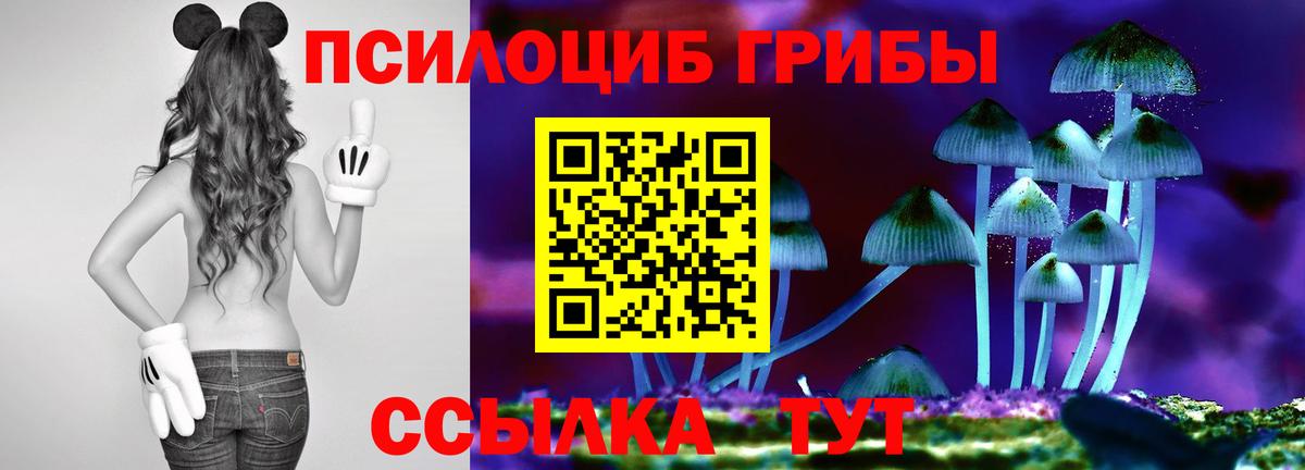 Псилоцибиновые грибы мухоморы  Вход с VPN  Псилоцибиновые грибы прущие грибы  Шатура 