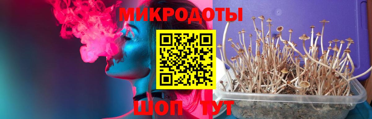 Псилоцибиновые грибы мухоморы Шатура
